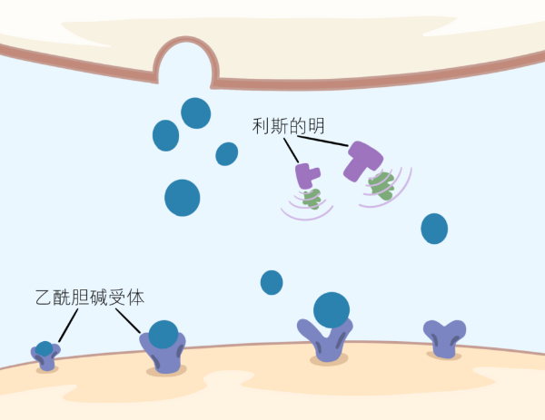 PP���ӡ�(�й�����)���¹ٷ���վ