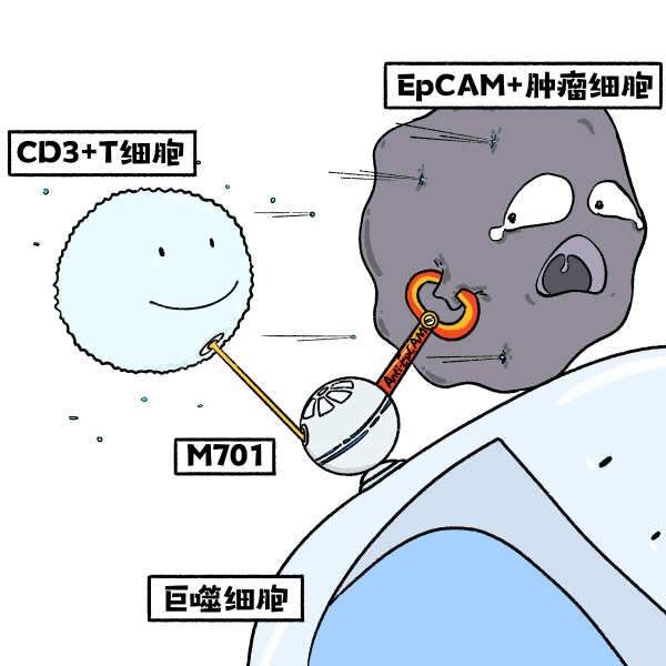 PP���ӡ�(�й�����)���¹ٷ���վ