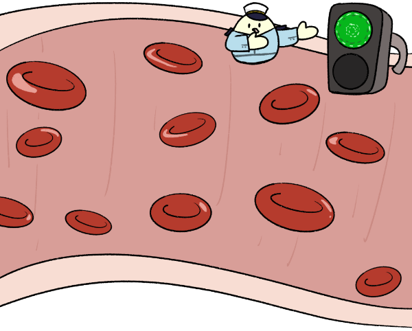 PP���ӡ�(�й�����)���¹ٷ���վ