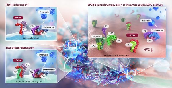 PP���ӡ�(�й�����)���¹ٷ���վ