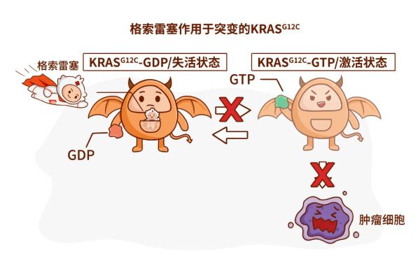 PP���ӡ�(�й�����)���¹ٷ���վ