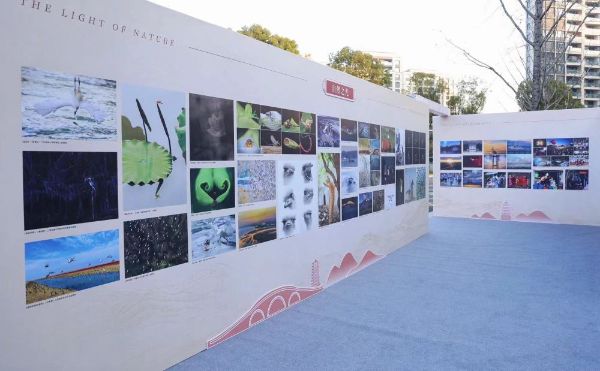 PP���ӡ�(�й�����)���¹ٷ���վ